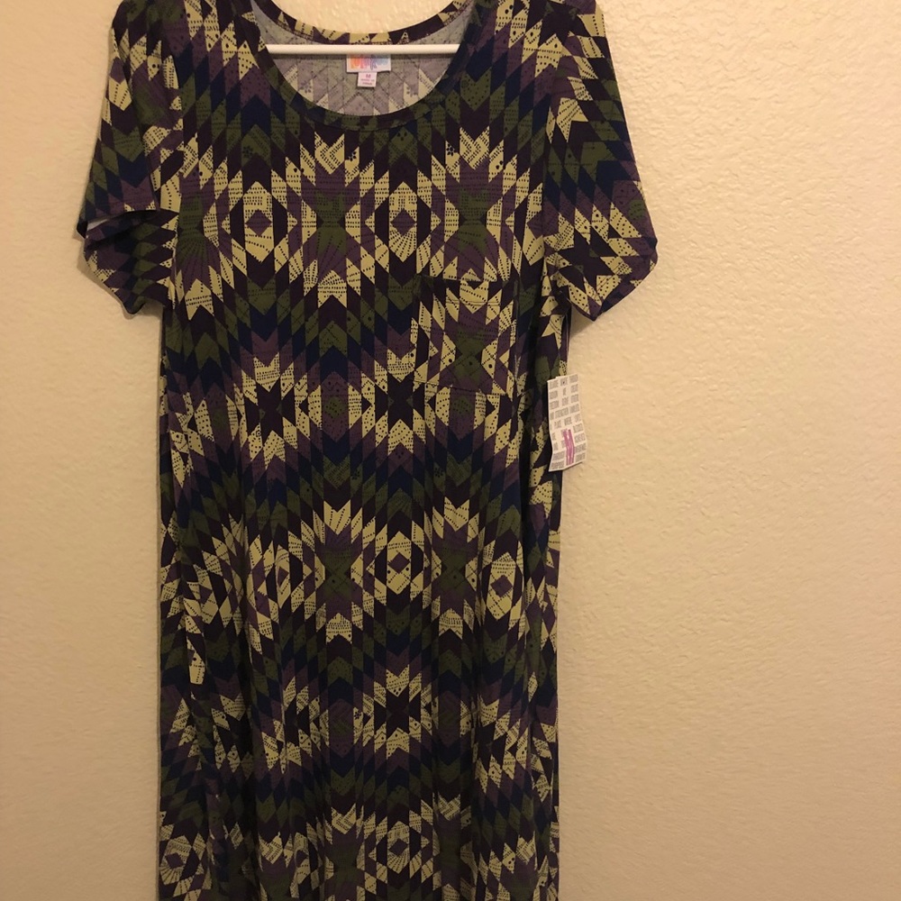 LuLaRoe Carly swing  dress